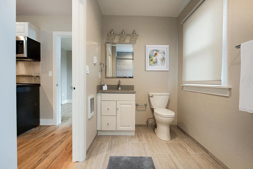 a bathroom with a toilet and a sink
