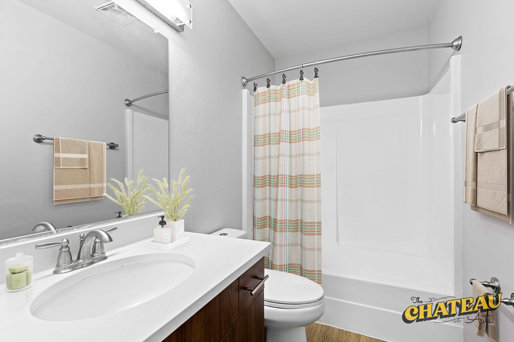 a bathroom with a sink and a toilet and a shower