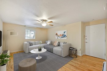 1244 Emerson Street Studio-1 Bed Apartment for Rent - Photo Gallery 3