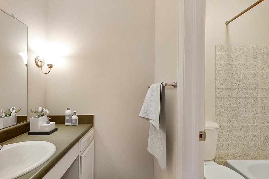 a bathroom with a sink and a toilet and a mirror