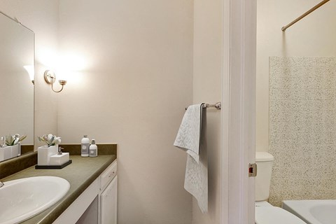 a bathroom with a sink and a toilet and a mirror