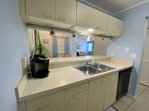 a kitchen with a sink and a counter top and a mirror