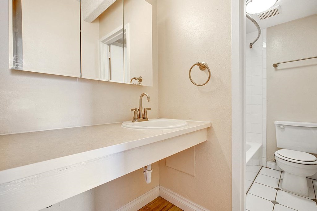 a bathroom with a sink and a toilet