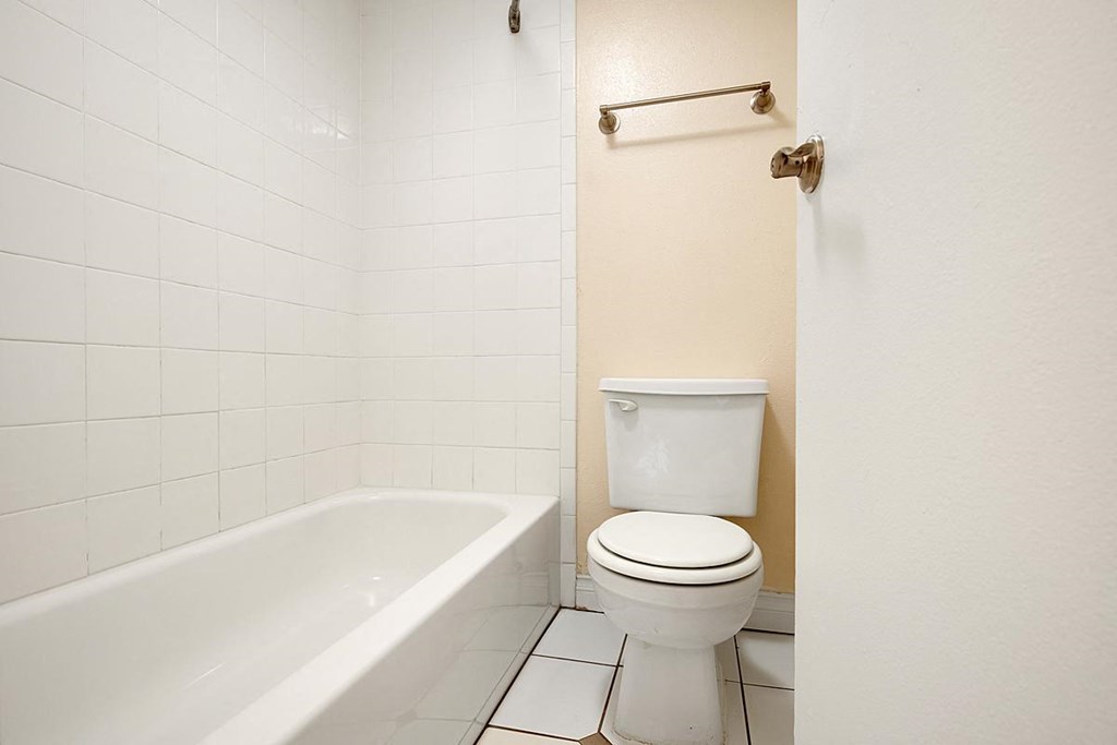 a bathroom with a toilet and a bath tub