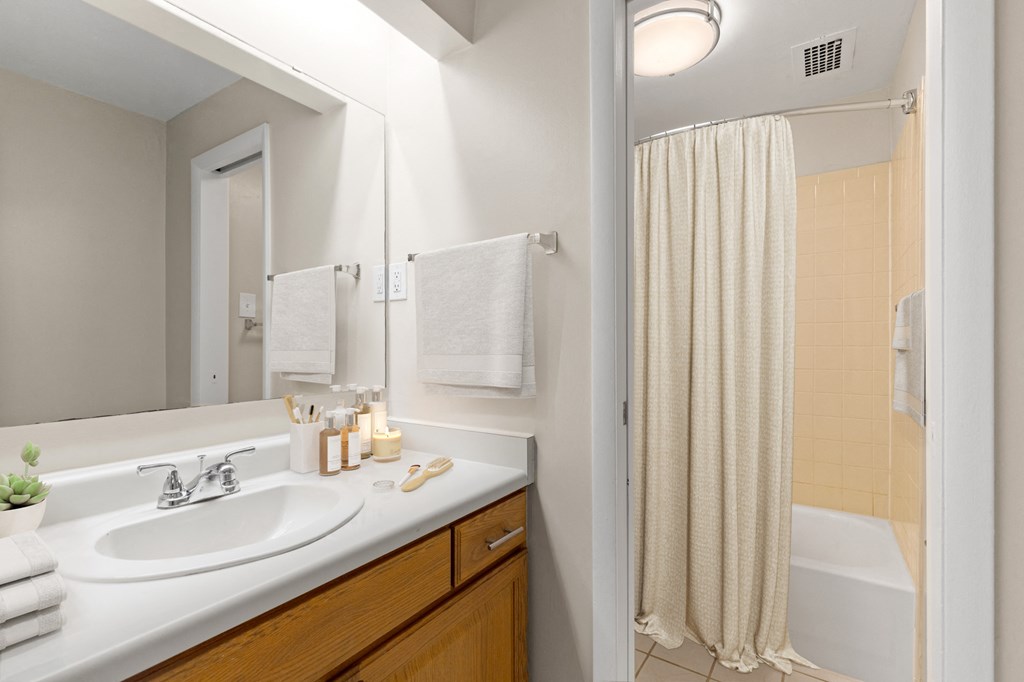 a bathroom with a shower and a sink and a mirror
