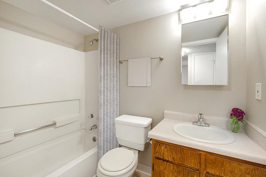 a bathroom with a sink toilet and a shower