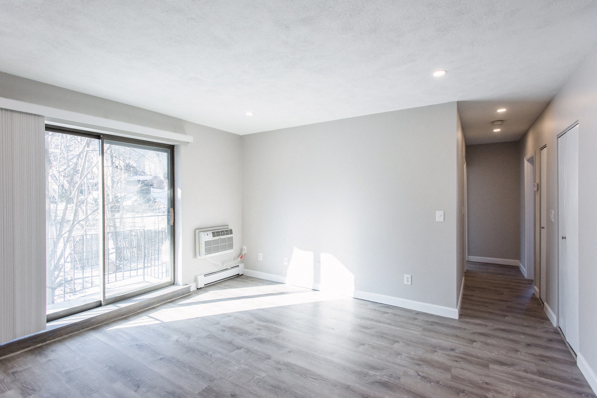 Living Room and Hallway
