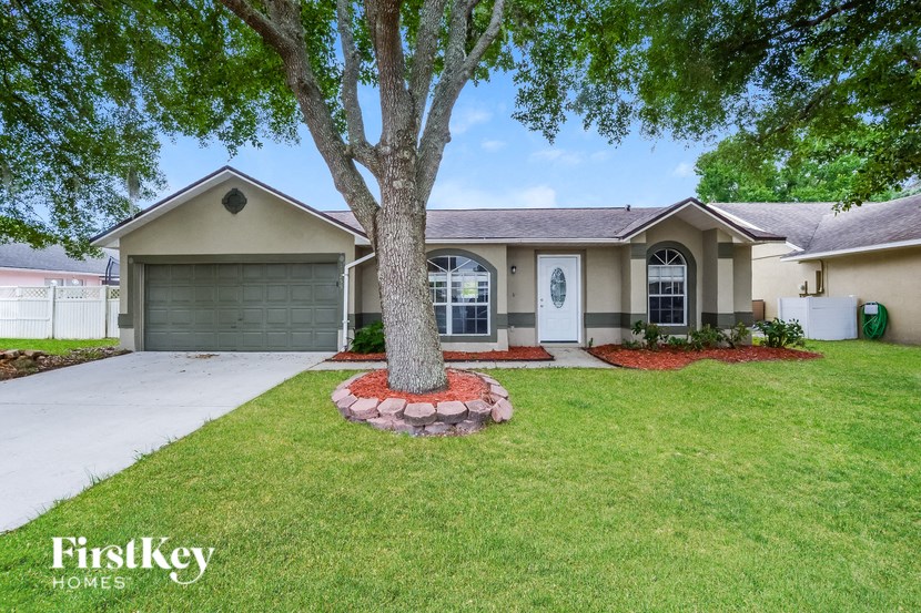 a home with a large tree in the front yard