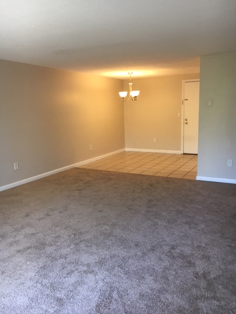 an empty living room with a carpeted floor