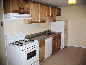a kitchen with a stove and a refrigerator