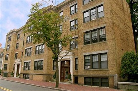 a large brick building with a tree in front of it