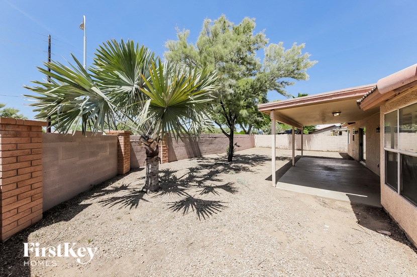 a palm tree in the yard of a house with a driveway