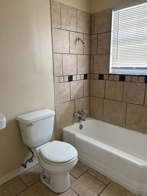 a bathroom with a toilet and a bath tub