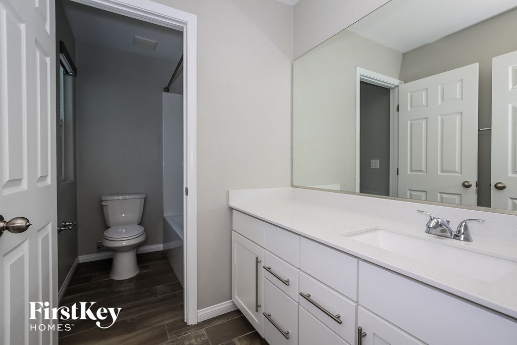 a bathroom with a sink and a toilet and a mirror