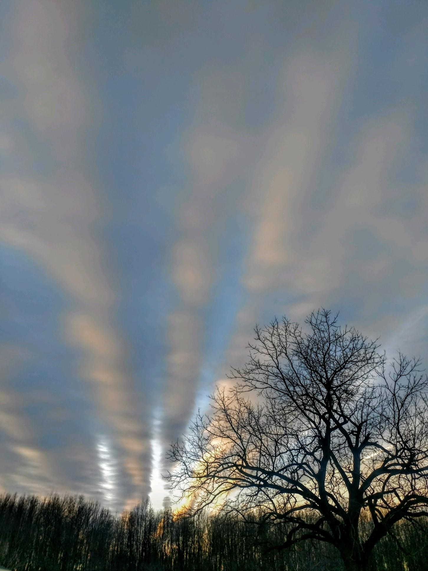 a tornado in the sky with trees in the foreground
