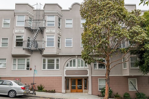 A grey building with a tree in front of it.