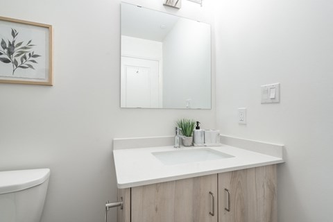 a bathroom with a sink and a mirror and a toilet