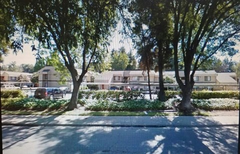 A tree-lined street with a building in the background.