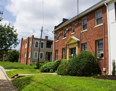 A row of houses with green bushes in front.