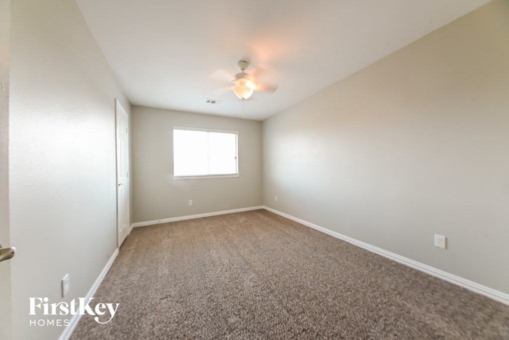 A carpeted room with a ceiling fan and a window.