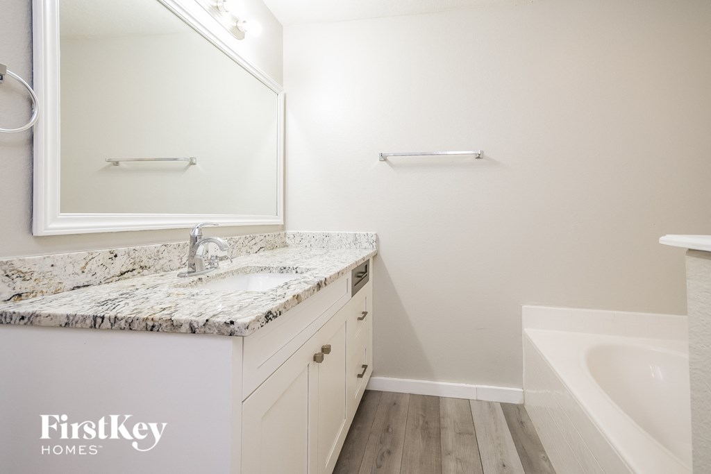 a bathroom with a sink and a mirror and a tub