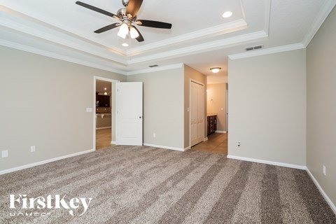 a living room with carpet and a ceiling fan