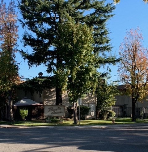 A tree in front of a building with a sign on it.