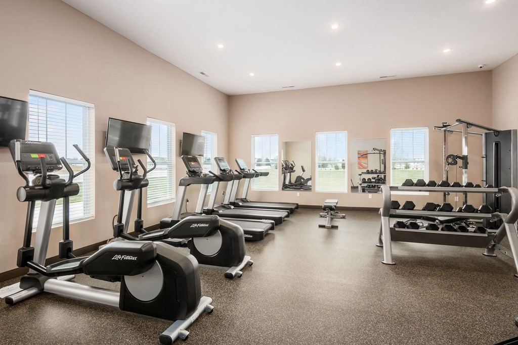 the gym is equipped with cardio equipment and weights