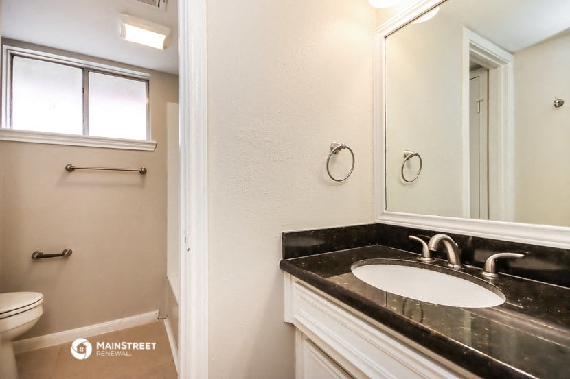 a bathroom with a sink and a toilet and a mirror