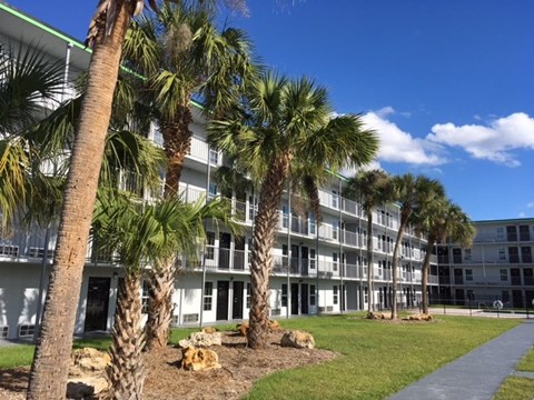 a row of palm trees in front of an apartment building