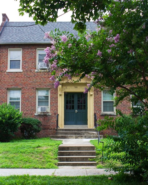 A house with a green lawn and a tree with purple flowers in front.