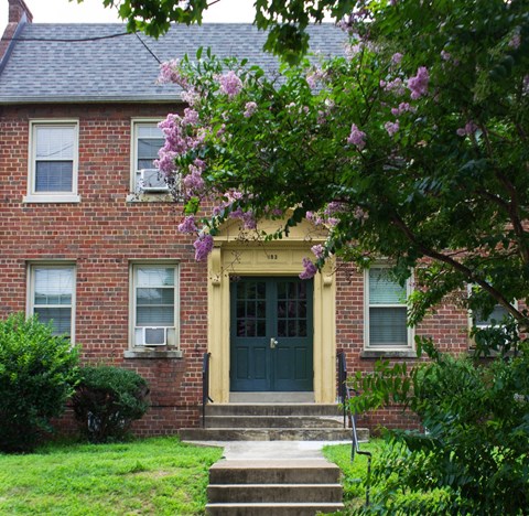 A house with a green lawn and a tree with purple flowers in front.