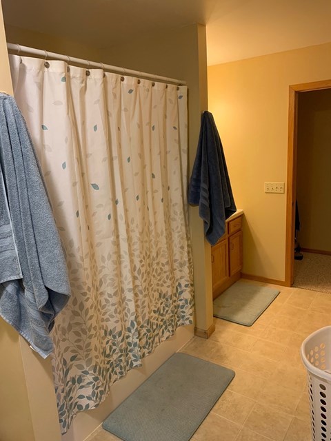 a bathroom with a shower and rugs and a shower curtain