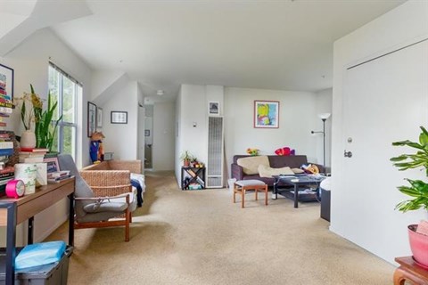 A living room with a couch, a chair, a table, and a potted plant.