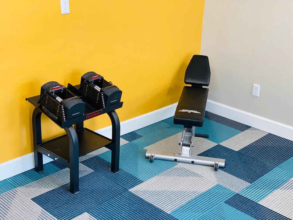 Nova Highland Workout