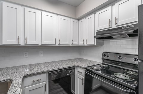 500 Spicewood 2 Beds Apartment for Rent - Photo Gallery 24