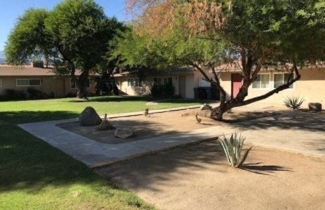 A backyard with a small tree, a rock, and a concrete path.