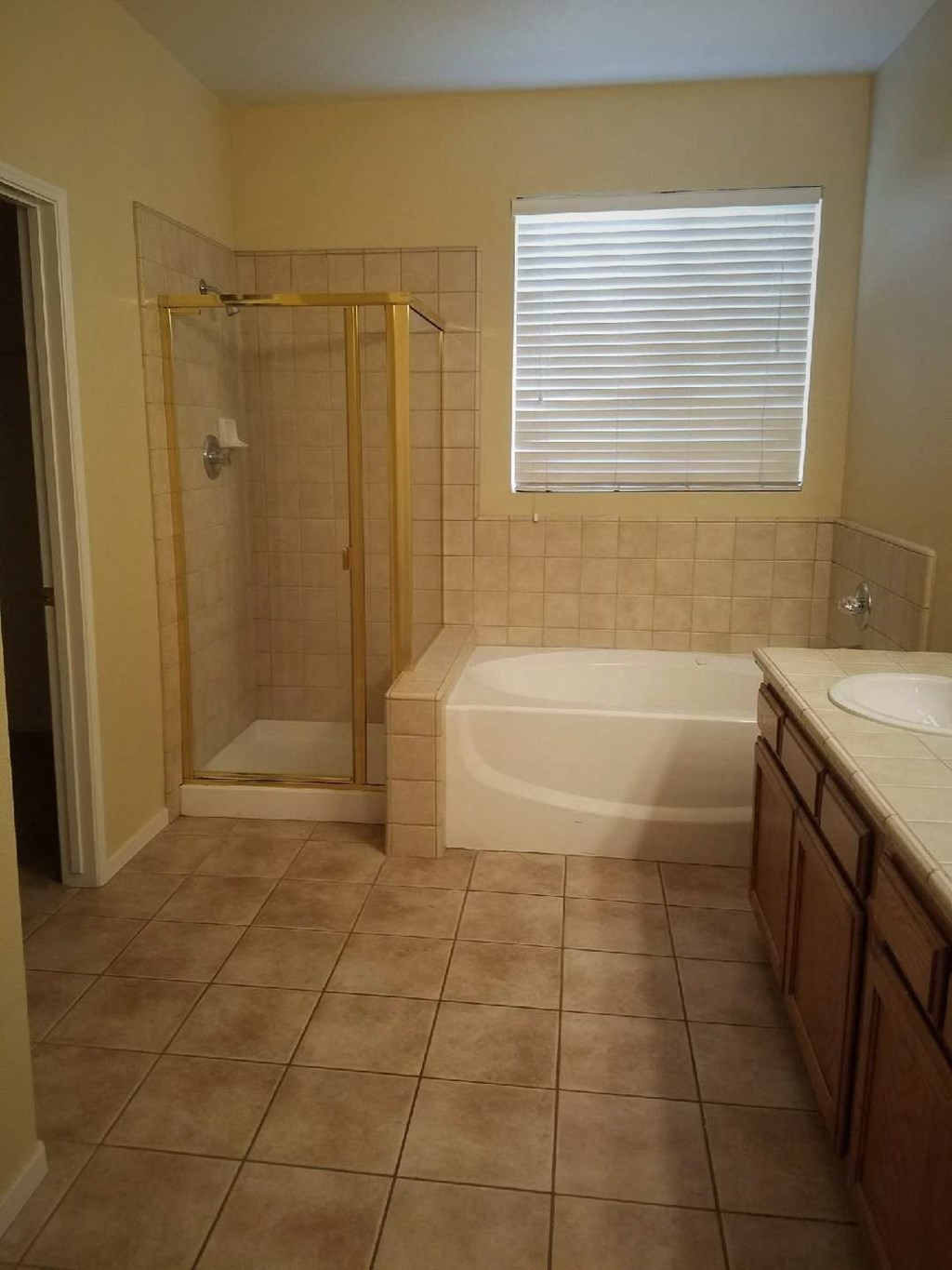 a bathroom with a tub and a sink and a shower