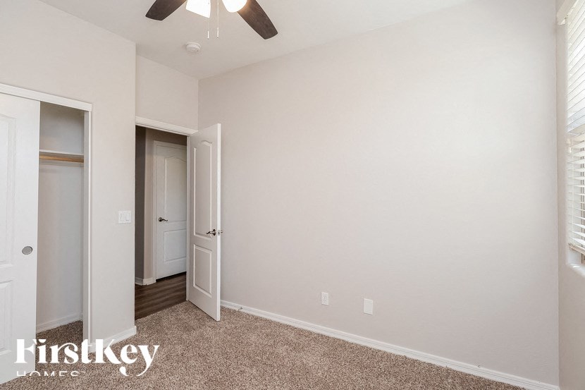 A room with a carpeted floor and a ceiling fan.