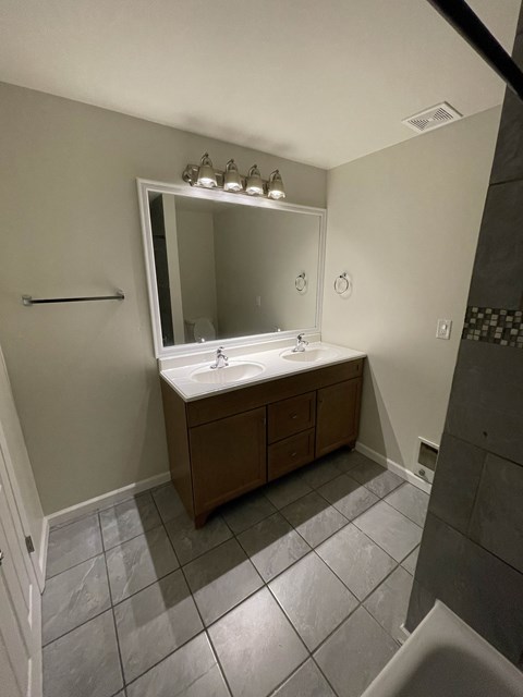 a bathroom with a sink and a mirror and a shower