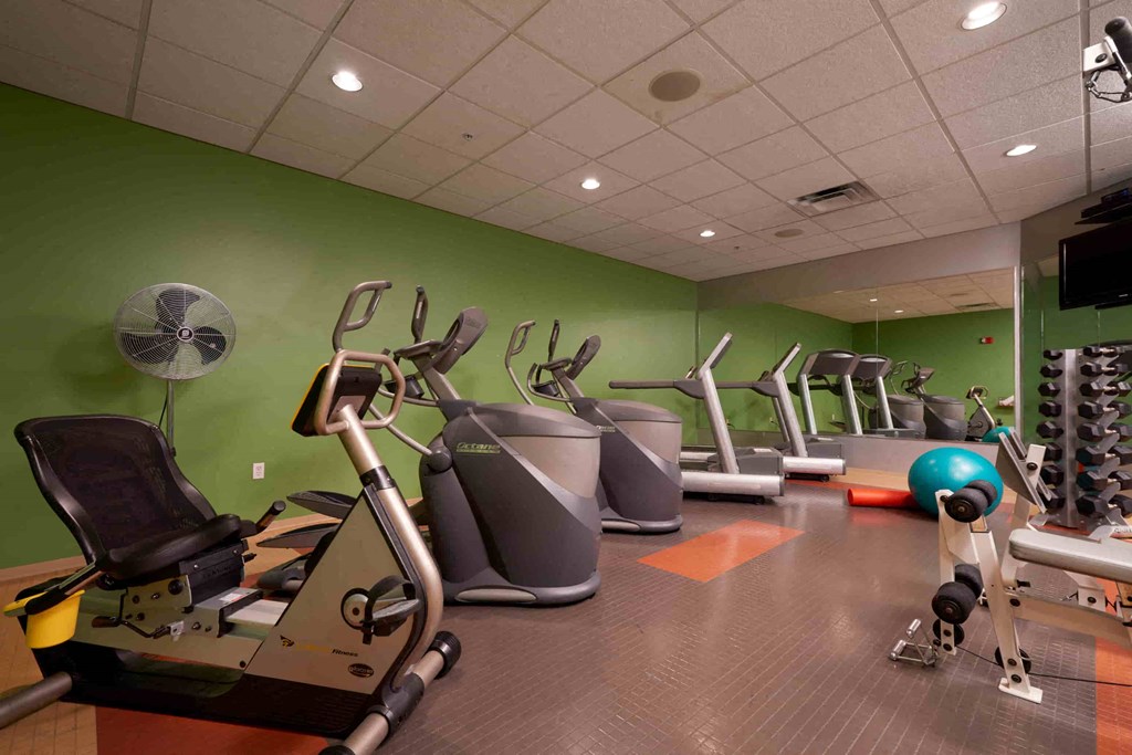 A gym with a green wall and a variety of exercise equipment.