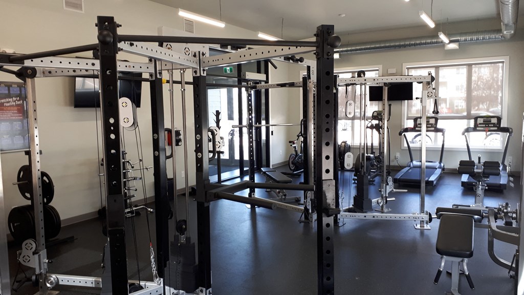 A gym with a variety of equipment including a squat rack, bench press, and a rowing machine.