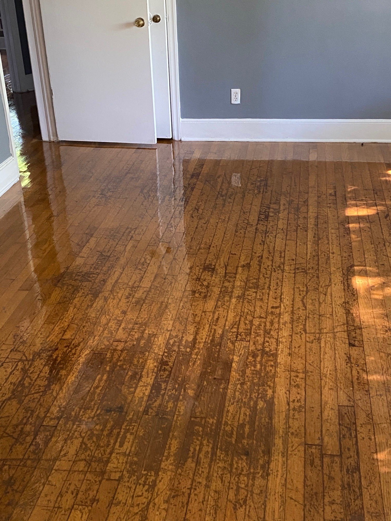 a hard wood floor in a room with a door