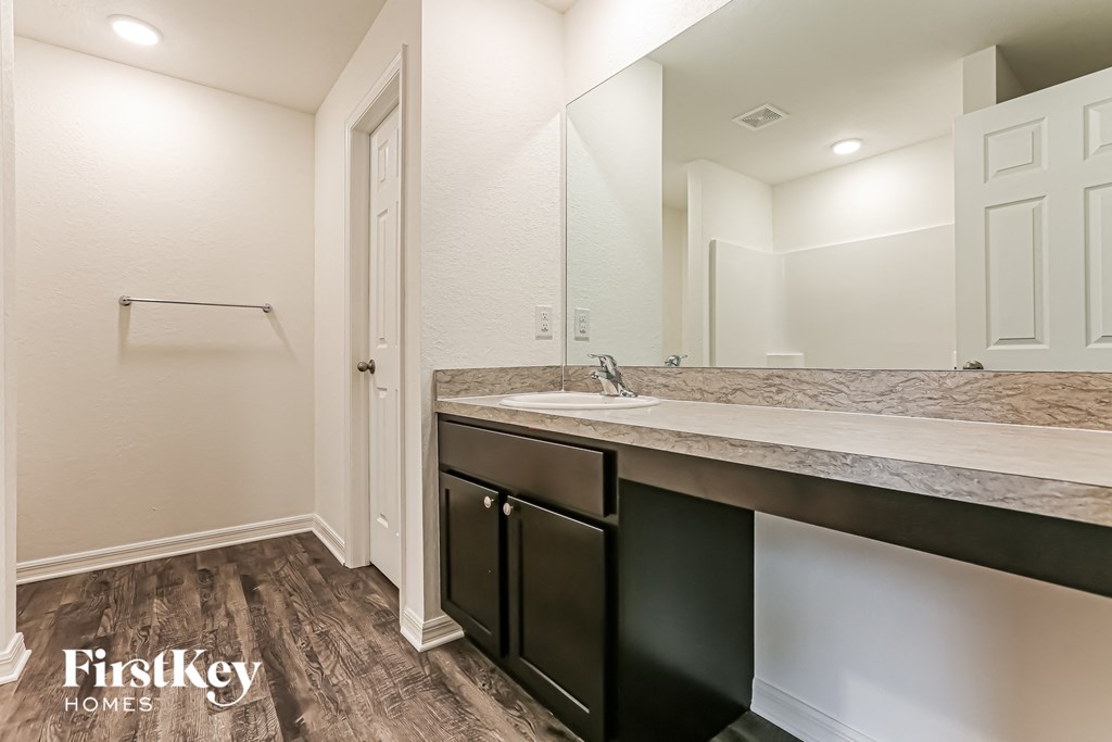 a bathroom with a sink and a mirror and a closet
