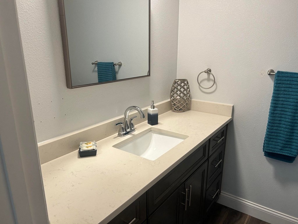 a bathroom with a sink and a mirror