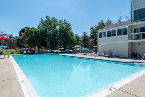 the swimming pool of a resort style pool