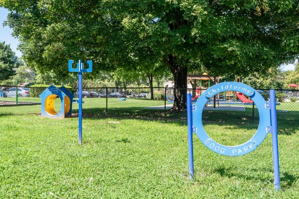a park with a playground and a tree