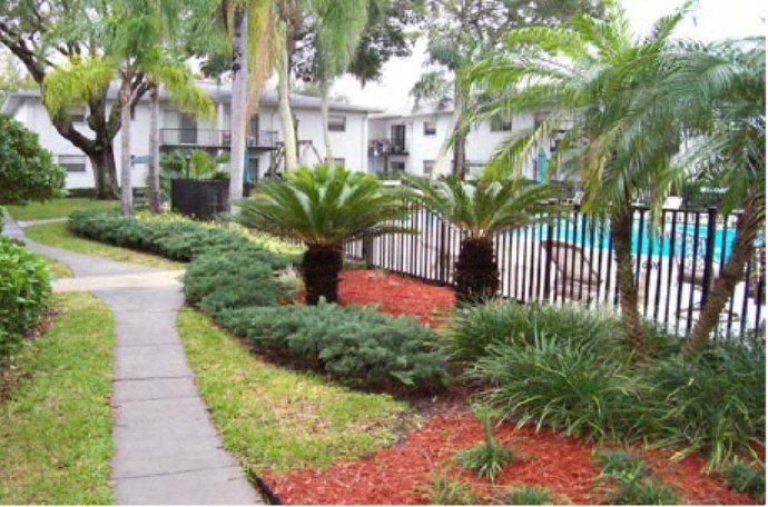 a sidewalk in front of a house with palm trees