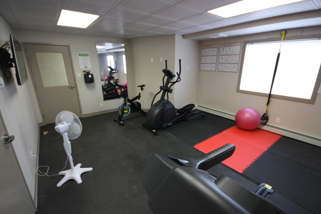 A gym room with a rowing machine, a fan, a pink ball, and a red mat.