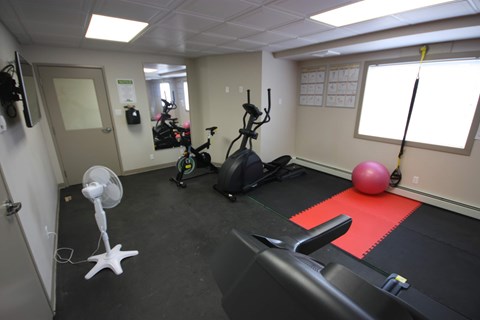 A gym room with a rowing machine, a fan, a pink ball, and a red mat.